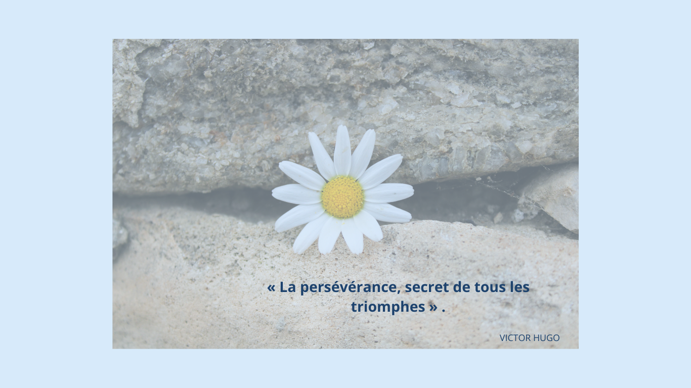 Photo d'une marguerite qui sort d'une pierre. Dessus la citation de Victor Hugo : "la persévérance, secret de tous les triomphes."