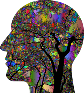 illustration d'un visage de profil dont l'intérieur est symbolisé par un arbre avec de multiples ramifications multicolores.